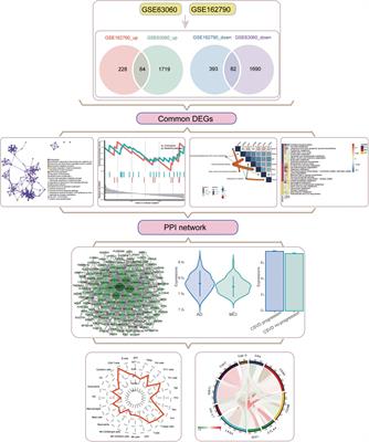 Potential biomarkers of Alzheimer’s disease and cerebral small vessel disease